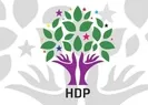 HDPli belediyelerde Türk bayrağı düşmanlığı