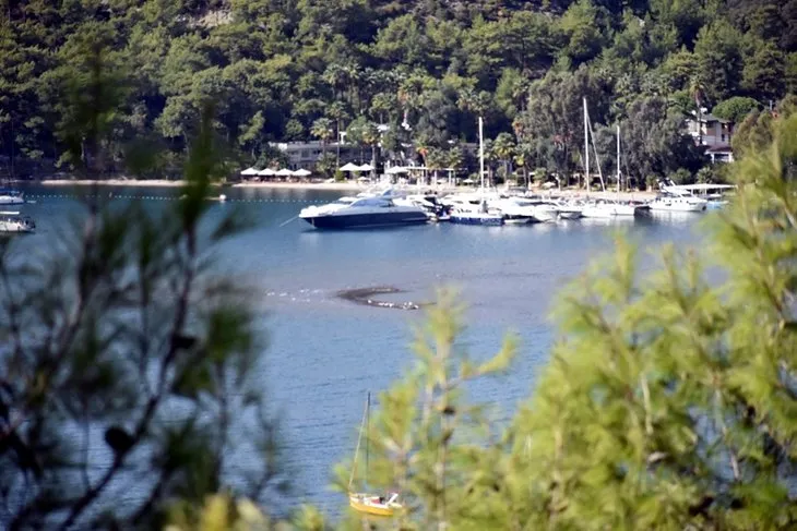 Son dakika: Halk tedirgin! Korkutan görüntü! Deniz çekilince ortaya çıktı