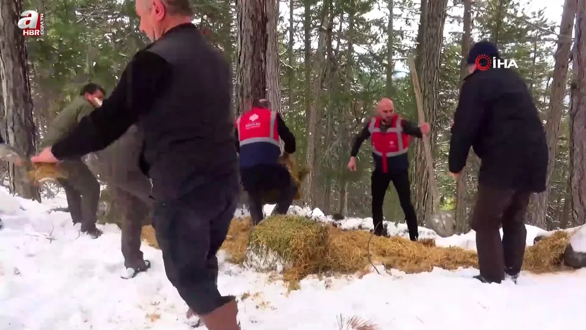 Uludağ'daki yaban hayvanları unutulmadı