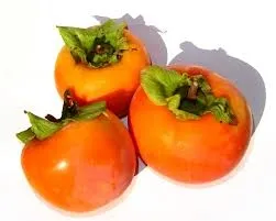 Cennet hurması, erkeklerin imdadına yetişiyor 7