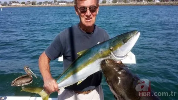 Köylüler ellerinde sopayla geziyor! Katil kuş özellikle sarışın kadınlara saldırıyor 19