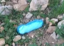 Görenleri şoke eden olay! İçinden...