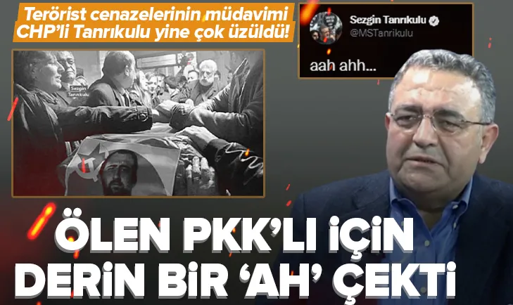 CHP’li Tanrıkulu PKK’lı teröriste üzüldü: Ahh
