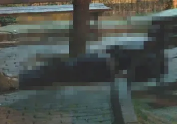 İstanbul'da çocuk parkında ceset bulundu!