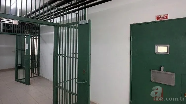 Ceza infaz yasasında geri sayım! Düzenlemenin detayları netleşti: Psikopat ayarı 4