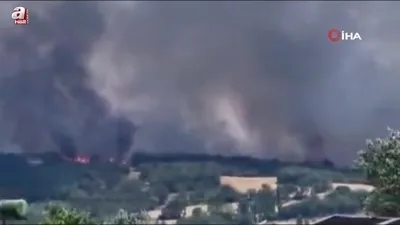 Edirne’de orman yangını kontrol altında