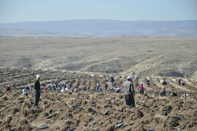 Birleşmiş Milletler Gıda ve Tarım Örgütü raporu belli oldu! Türkiye ağaçlandırmada Avrupa'da birinci oldu - 2