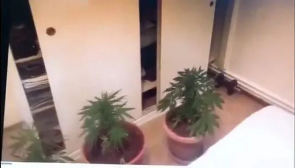 İstanbul'da baskın! Adalar'da fırında kurutulan kenevir ele geçirildi - 1