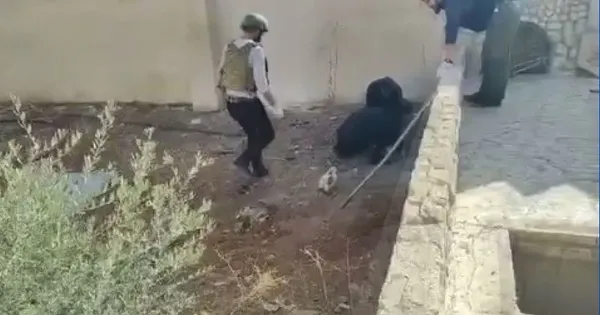 Son dakika! İçişleri Bakanlığı duyurdu: 13 DEAŞ ve 5 PKK’lı yakalandı