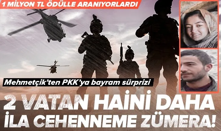 2 PKK’lı yönetici daha öldürüldü! Terör örgütü PKK erimeye devam ediyor