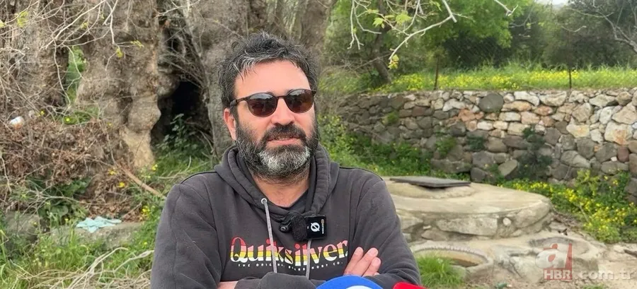 Bodrum'da 2 bin yıllık çınar ağacı bulundu 4