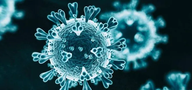 Koronavirüsün şifreleri çözüldü! Birçok cepheden saldırıyor