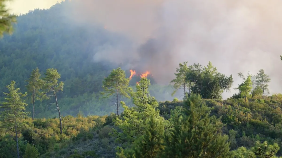 Antalya ve Muğla’da orman yangını! Serik’te yangının enerjisi düşürüldü - 1