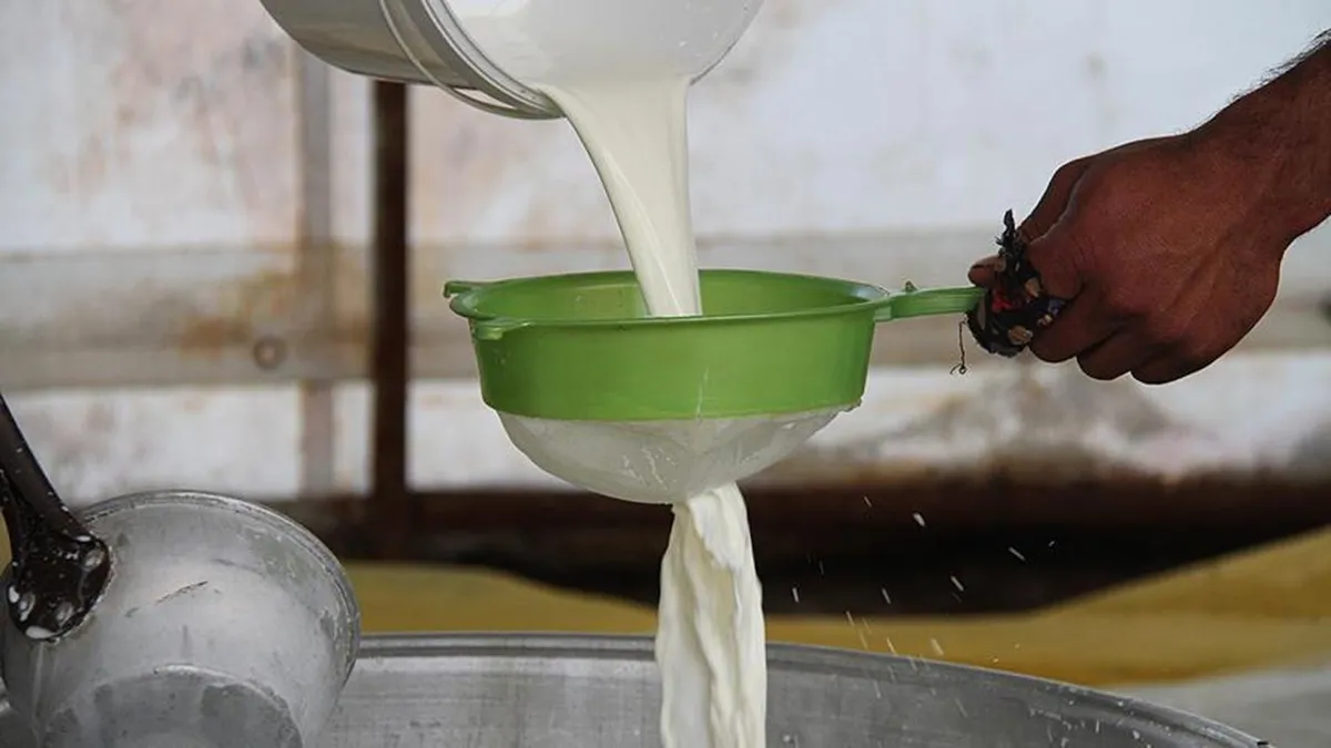 Çiğ süt üreticilerine ilave destek ödemesi: Yeni düzenleme Resmi Gazete'de