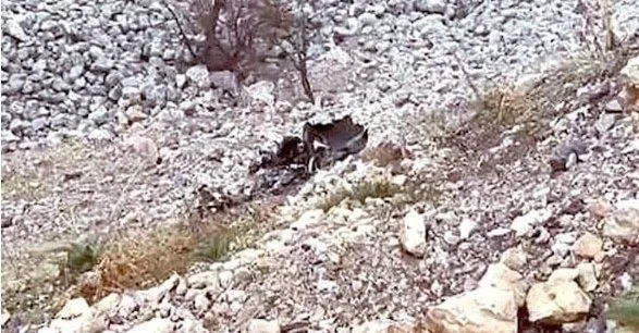 Türkiye’den flaş karar! Hava sahası o uçuşlara kapatıldı