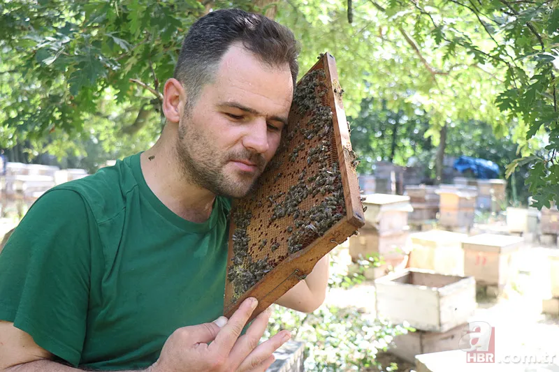 Kovandan çıkan bal görenleri şaşkına çevirdi! Kilosu 20 bin TL... 4