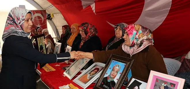 Diyarbakır annelerine destek ziyaretleri sürüyor