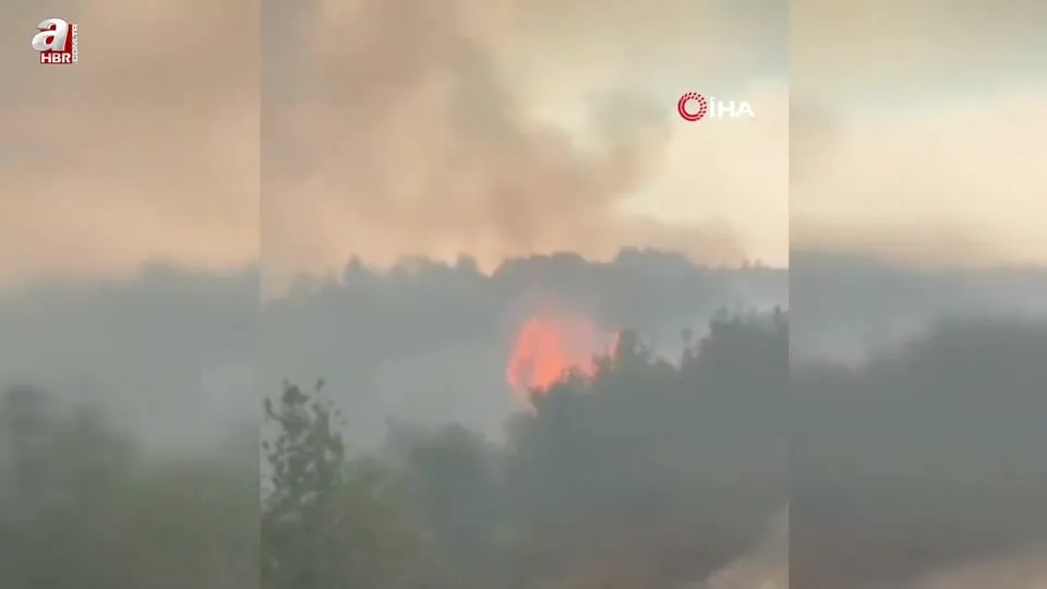 Suriye’de devam eden orman yangını Türkiye sınırına ulaştı