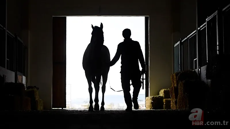 99. Gazi Koşusu ne zaman, saat kaçta, büyük ödül ne kadar? Gazi Koşusu’nda Halis Karataş yarışacak mı? 1