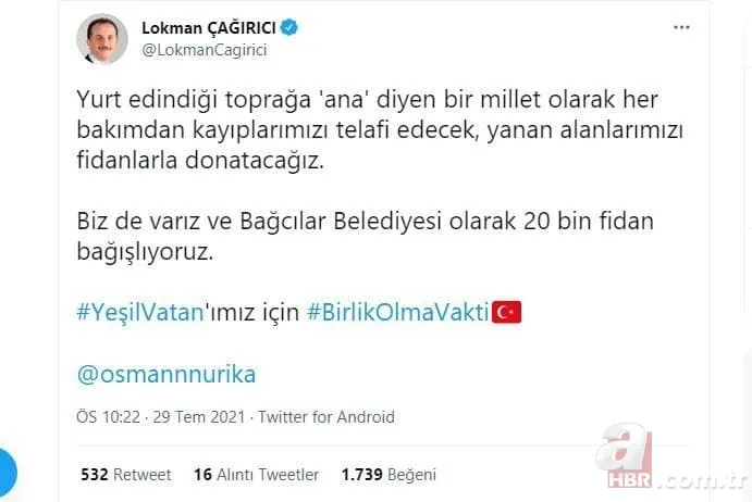 Türkiye yangına karşı tek yürek: Ünlü isimler de destek veriyor! Ormanlara ağaç dikilmesi için büyük kampanya başladı 9