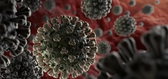 Dünya Sağlık Örgütünden son dakika Delta varyantı koronavirüs açıklaması! Hızlı bir şekilde yayılabilir