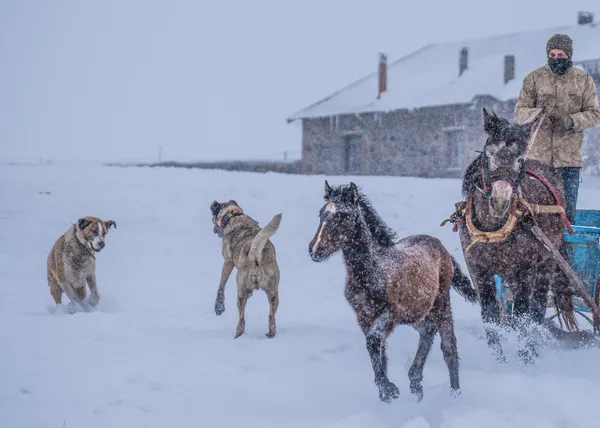 1671777364302.jpg Kara kış geldi ❄️ Beyaz örtüyle kaplanacaklar | Meteoroloji uyardı: Pazar gününe dikkat | Zemheri etkili olmaya başlıyor - 2