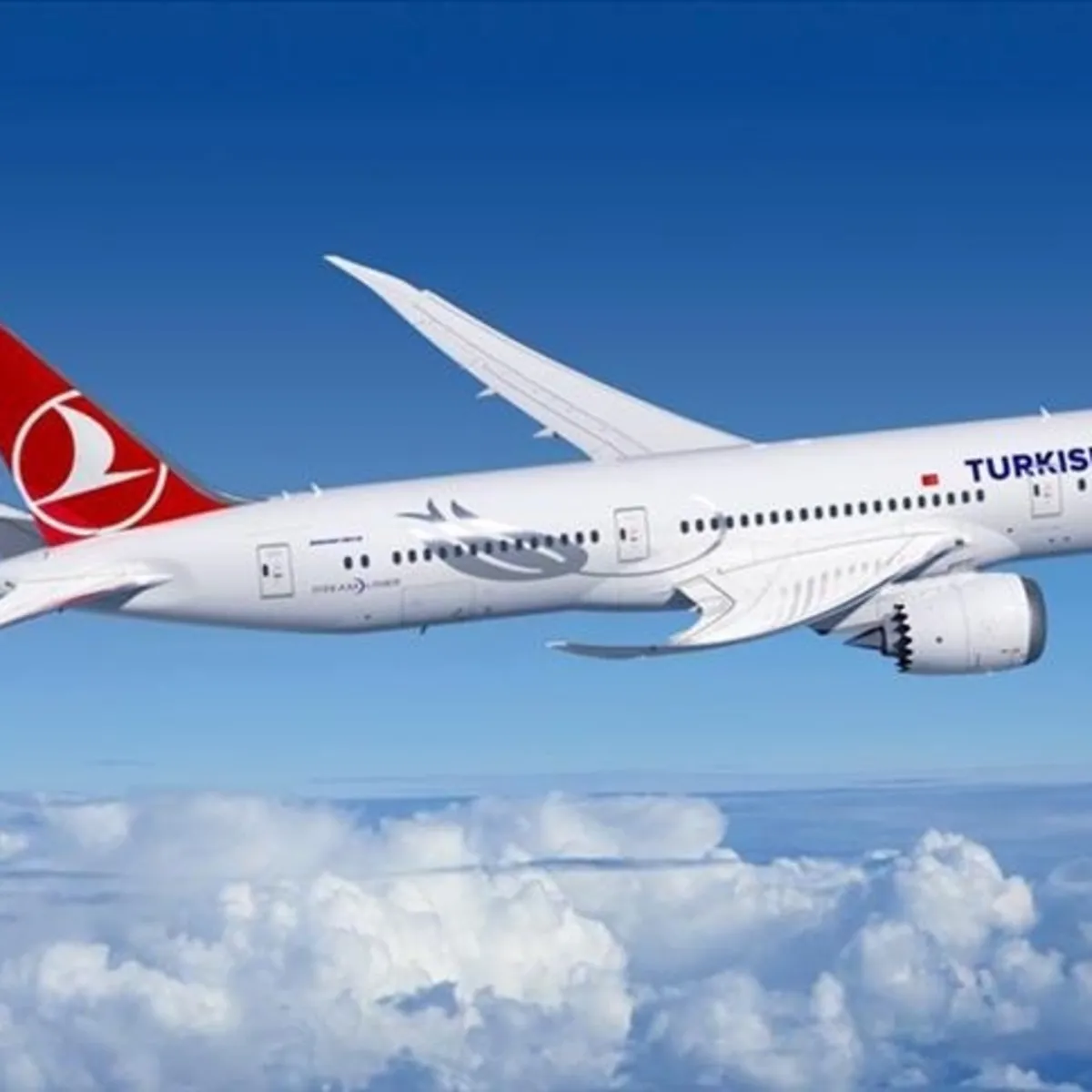 THY’nin Katmandu-İstanbul uçağı Hindistan’a acil iniş yaptı