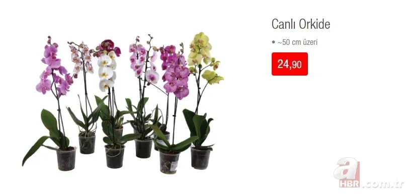 A101 aktüel ürünler kataloğu 9 Mayıs ve BİM aktüel ürünler kataloğu 10 Mayıs! A101 ve BİM indirimli ürünler neler? 23