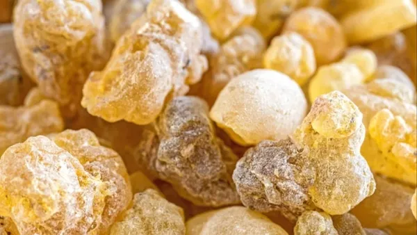 Ender Saraç önerdi! 1 hafta içinde 5 kilo garanti! Her gün tüketirseniz...