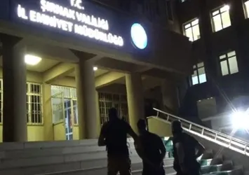 Şırnak'ta 7 kişi PKK'dan tutuklandı