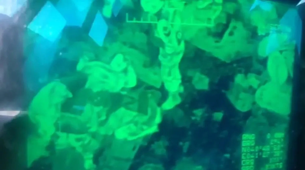 artvinde-daglik-alanda-kurtarma-operasyonu-yaylada-mahsur-kalan-vatandas-icin-ekipler-seferber-oldu-1776892475142.jpg Ekiplerce bulunduğu bölgeden alınan vatandaş Erzurum'a sevk edildi (Fotoğraf: ahaber.com.tr)