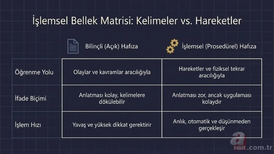 Beynin gizli arşivi: Zihin unutsa bile vücut hatırlıyor! Kas hafızası nedir? 5