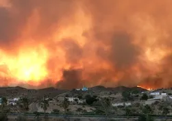 İspanya'da orman yangını: 12 ölü, 6 yaralı