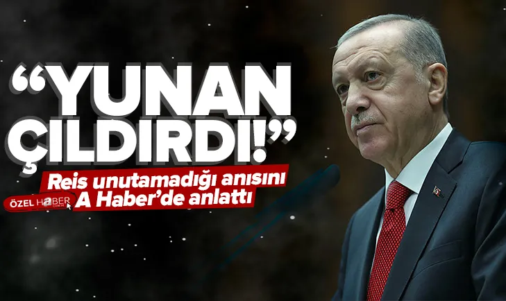 Erdoğan Yunan çıldırdı diyerek açıkladı