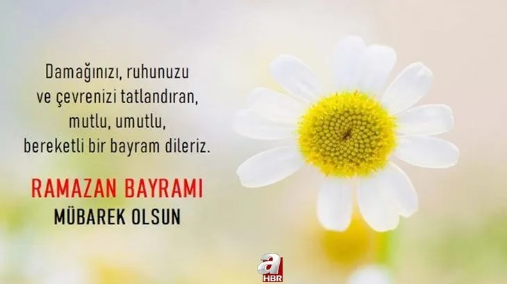 Ramazan Bayramı uzun, kısa kutlama mesajları! En farklı, anlamlı, görülmemiş Ramazan Bayramı kutlama mesajları...