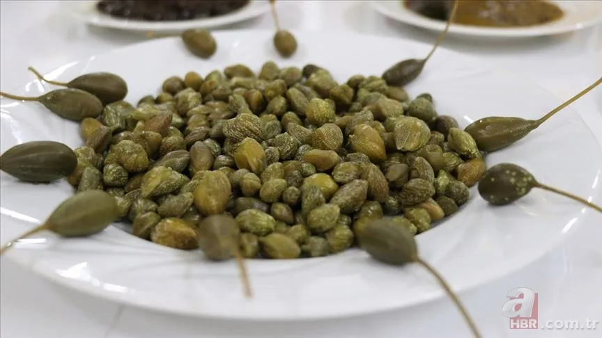 Kan grubuna göre nasıl beslenilmeli? O yeşilliklere dikkat 19