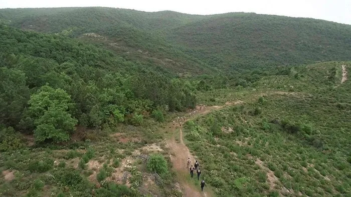 korhan-berzegin-olum-nedeni-belirlendi-mi-adli-tip-kurumundan-sok-rapor-1716030685860.jpeg Korhan Berzeg'in ölüm nedeni belirlendi mi? Adli Tıp Kurumu'ndan şok rapor - 3