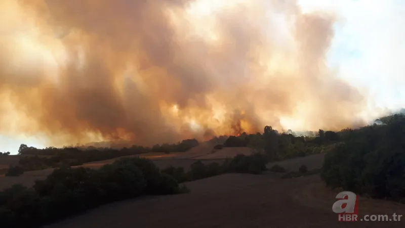 Bursa Yenişehir'de korkutan orman yangını! 2