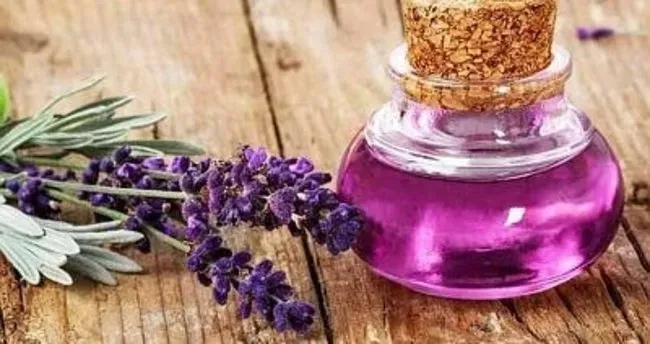 Lavanta yağı nasıl kullanılır? Lavanta yağının bilmediğiniz 10 faydası
