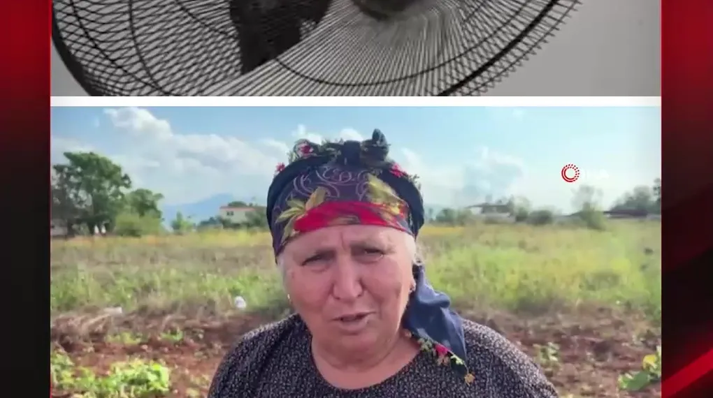 DEPREM ANINI ANLATTILAR