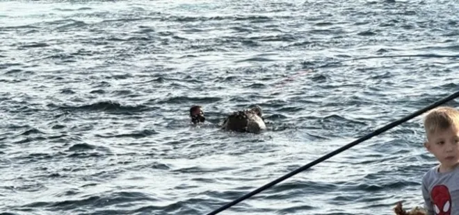 İstanbul Sarıyer'de mayın paniği!