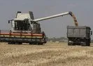 Türkiye ve Ukrayna’dan tahıl sevkiyatı görüşmesi