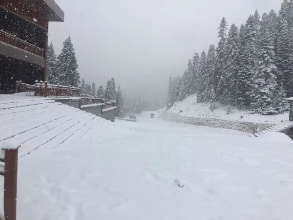 kastamonuda-kar-yagisi-etkili-olmaya-devam-ediyor-1639653451433.jpg Kastamonu’da kar yağışı etkili olmaya devam ediyor - 1