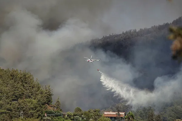 Son dakika: Başkan Erdoğan’dan Marmaris’te flaş açıklamalar | Yangın felaketinden etkilenenlere 50.000 TL destek sağlanacak