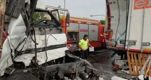 Acı son! Köpeğe yardım etmek isterken can verdi