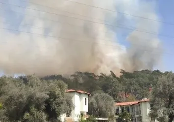 SON DAKİKA! Fethiye'de orman yangını