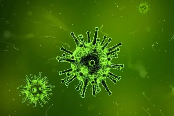 Dünyayı şoke eden araştırma! O hastalığı olanlar koronavirüsü daha ağır geçiriyor - 5