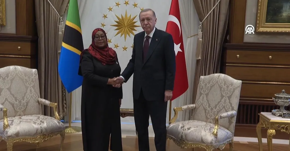 Başkan Erdoğan Tanzanyalı mevkidaşını ile görüştü!