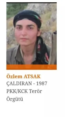 Son dakika | Bitlis'te PKK'ya ağır darbe! Etkisiz hale getirildiler - 1