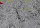 Bakanlık duyurdu! Aniden yok edildiler
